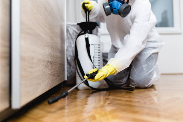 Best Commercial Pest Control Services  in Mccrory, AR