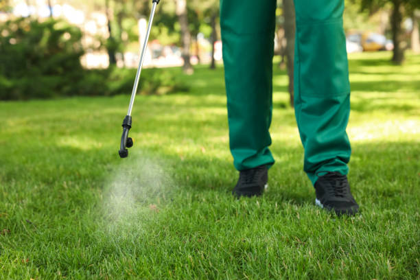 Best Termite Control Services  in Mccrory, AR