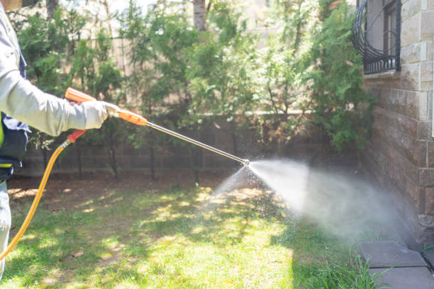 Best Wasp Removal Services  in Mccrory, AR